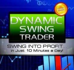 Netpicks Dynamic Swing Trader 2020 (latest)