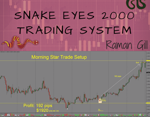 Snake Eyes 2000 Full Time Forex Trading Course by Raman Gill’s from Trading Strategy Guides