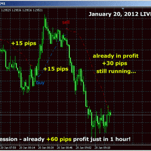 100 Pips Daily Scalper by Karl Ditman