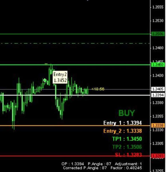 FOREX GOILER 1.3