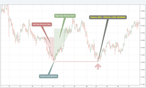 Real Forex Robot (EA BUILDER)